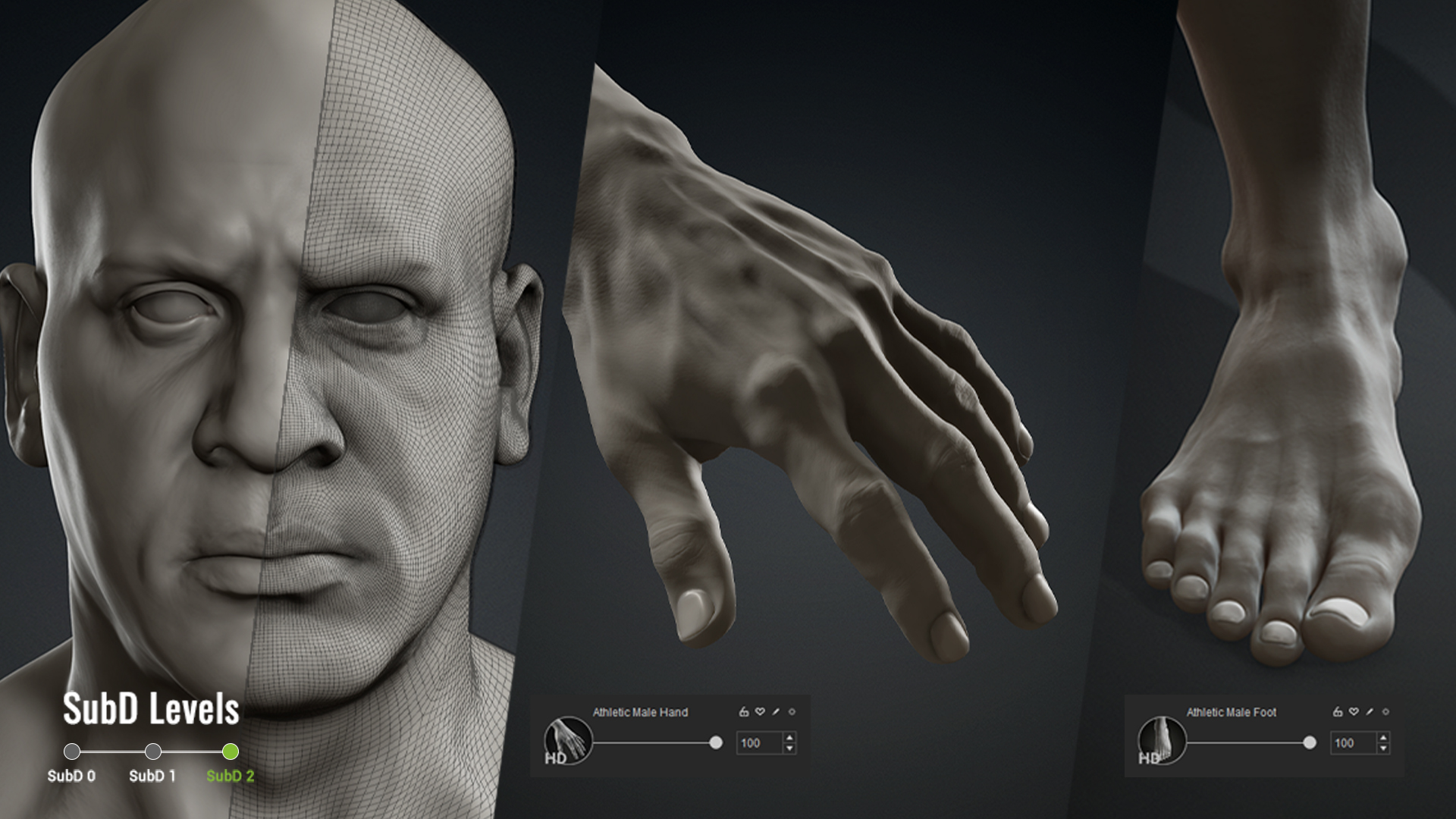 ภาพชุดสื่อ CC5 รุ่นเดิม เปรียบเทียบ subdivision และรายละเอียด morph ของใบหน้า มือและเท้า