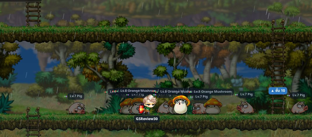 ตัวละคร GSReview30 ต่อสู้กับหมูและเห็ดในป่าฝนชั้น 9 ของ Legend of MapleStory